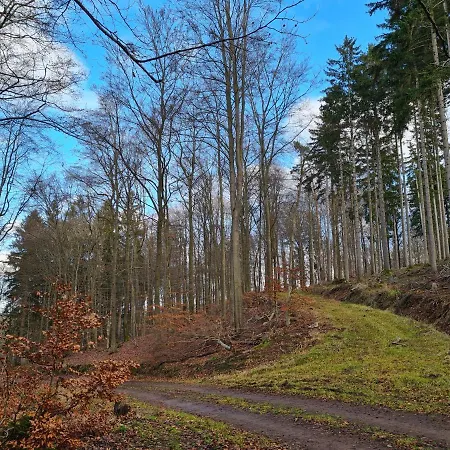 Johann * Mürlenbach