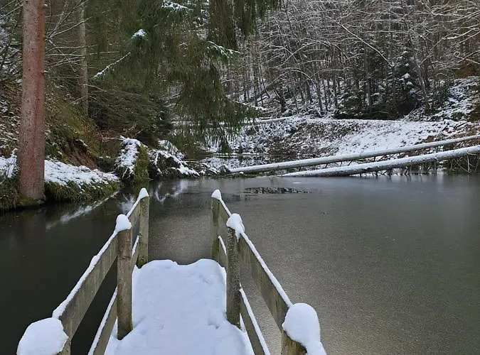 Johann Nyaraló Mürlenbach