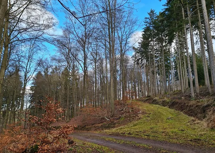 Johann * Mürlenbach